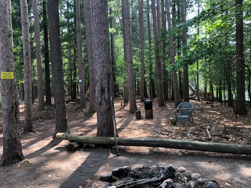 The campsite — stone fire ring, sittin' logs, a wicker chair, and a boombox on a stump