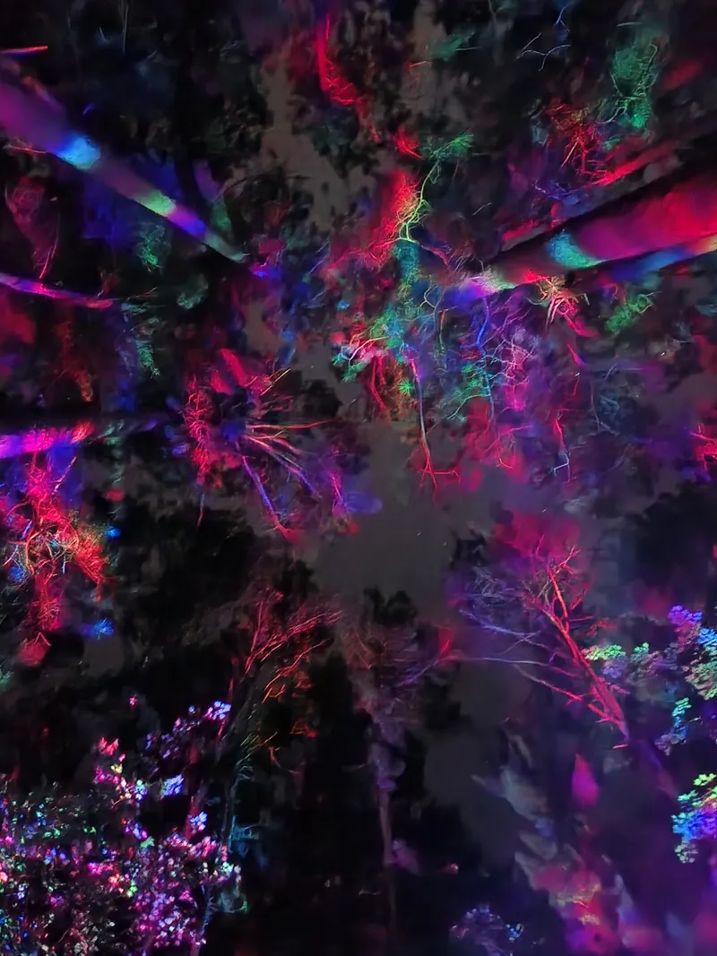 The island canopy at night, lit up in reds, purples, and greens