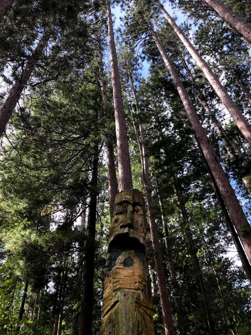 The Statue — a carved wooden face high on a pole among towering pines